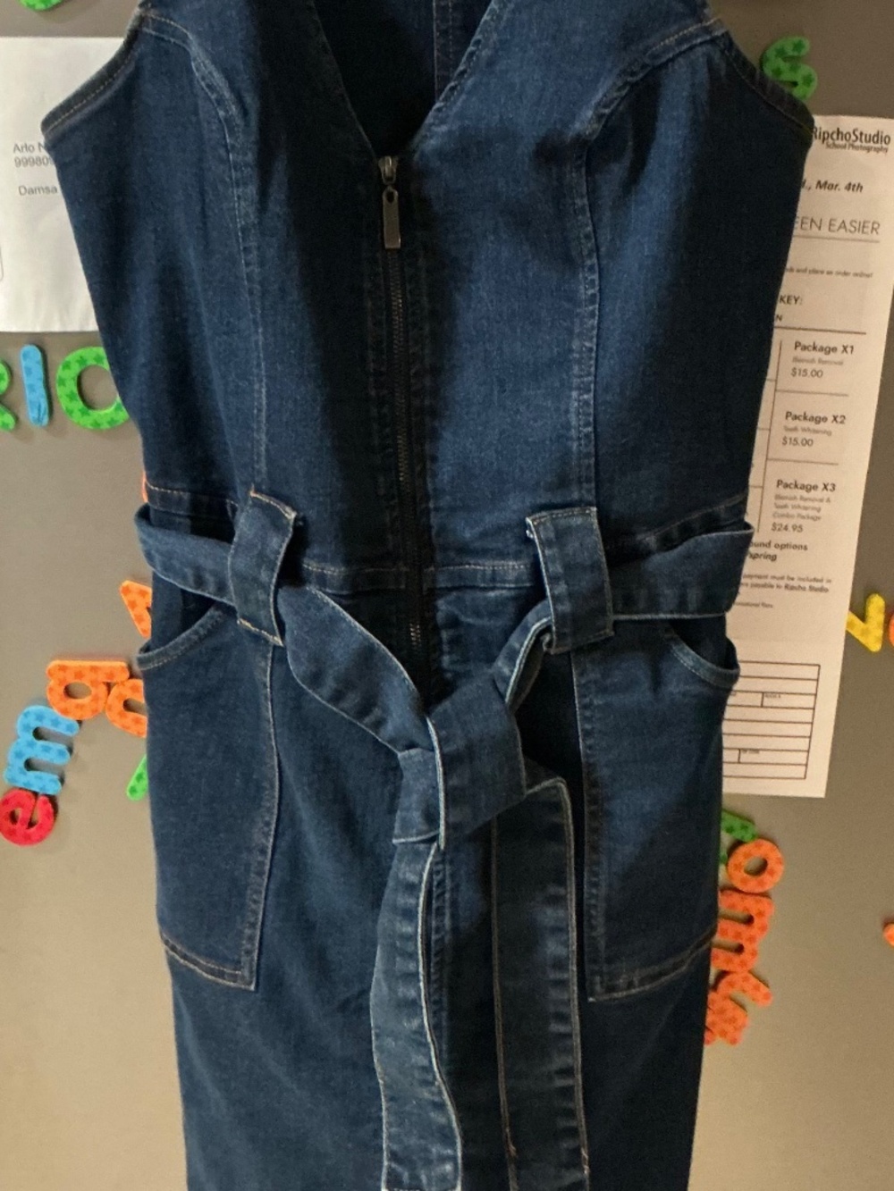 Venus denim dress